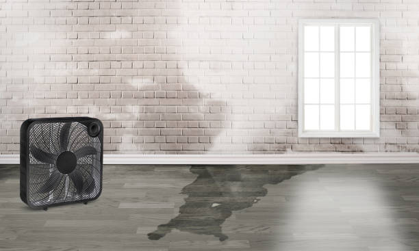 Sewage cleanup and water damage restoration in Benwood, WV