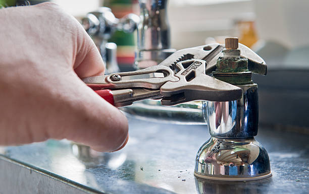 Best Water damage restoration mold remediation  in Benwood, WV