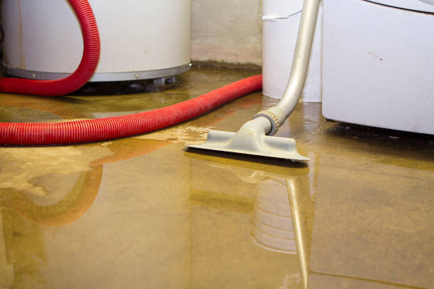 Best Water damage restoration mold remediation  in Benwood, WV