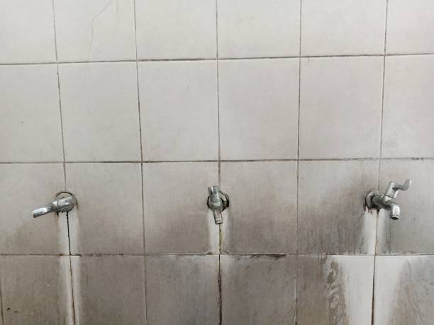 Benwood, WV Water damage restoration Company
