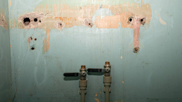 Best Fire Damage Restoration  in Benwood, WV